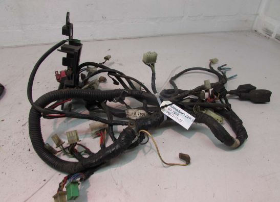 Wire Harness Kawasaki ZZR 250