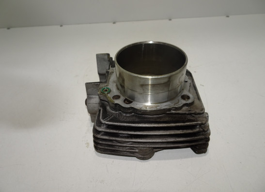 Zylinder Ducati monster 900