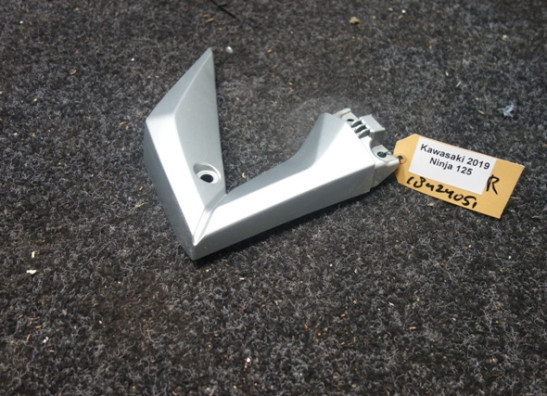 Cowl right small Kawasaki Ninja 125
