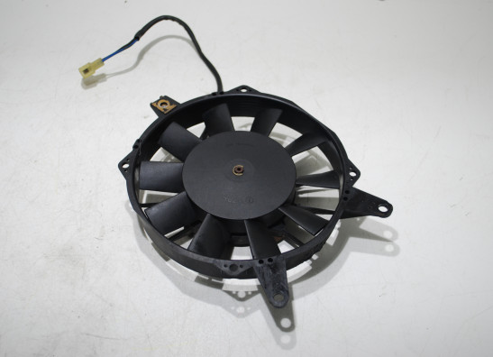 Ventilator Triumph 900 Daytona