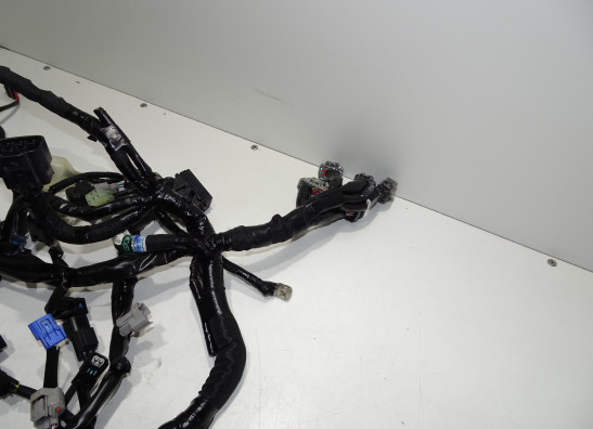 Kabelboom Kawasaki Z 900