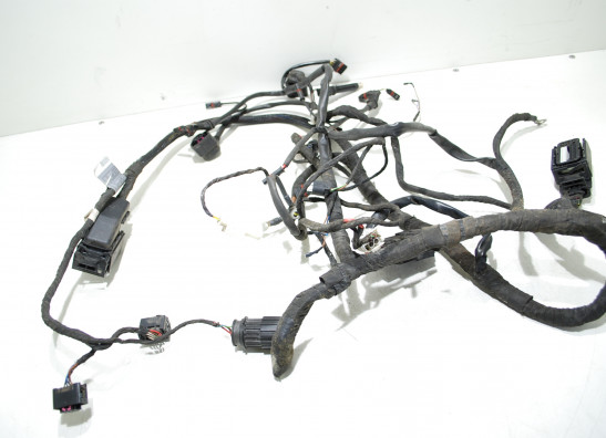 Wire Harness BMW K 1200 R 