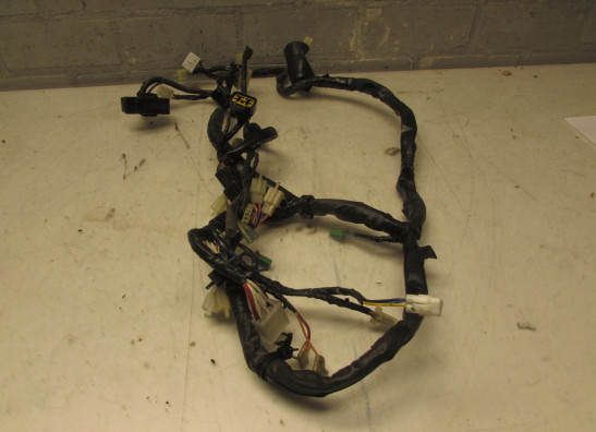 Kabelboom Yamaha YZF 600 Thundercat