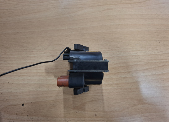 Bobine BMW R 1100 GS