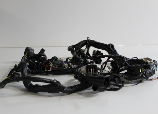 Kabelbaum Kawasaki Z 1000