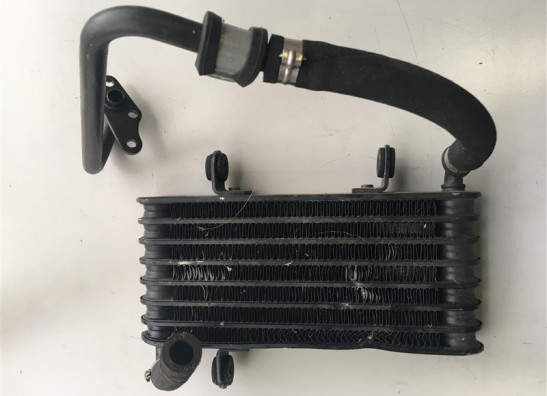 Olkuhler Aprilia Tuono 1000