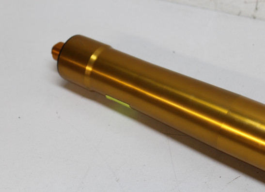 Standrohr Gabelholm rechts komplett Yamaha MT 09