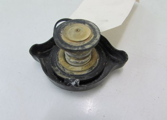 Kuhler Teile Triumph Sprint ST 1050