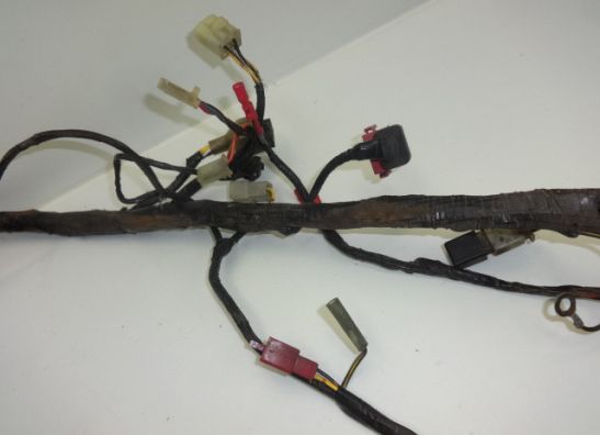 Wire Harness Kawasaki ER 5