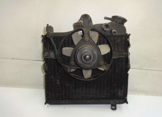 Radiateur Yamaha XZ 550