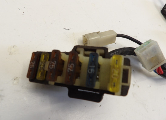 Kabelboom Yamaha YZF 600 Thundercat