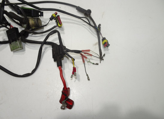 Kabelboom Ducati 600 SS Supersport