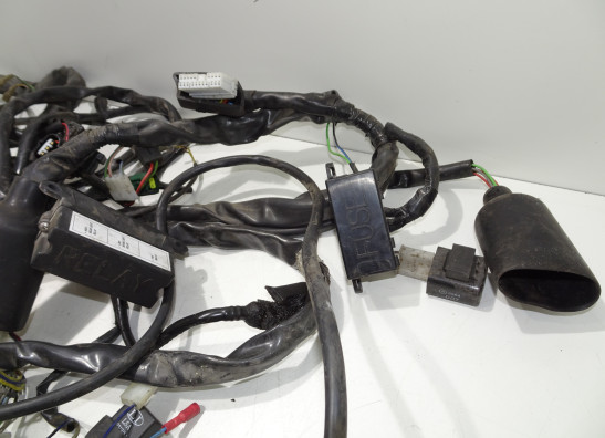 Wire Harness Aprilia RSV 1000