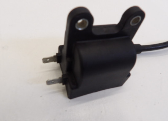 Bobine Triumph Trophy 900