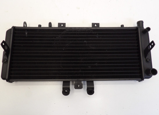 Radiateur Triumph T509 Speed Triple