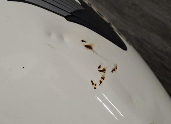 Benzintank Honda CB 450