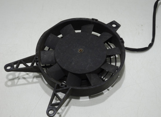 Ventilator Triumph Tiger 900