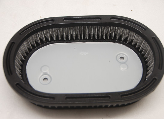 Air cleaner Harley Davidson Softtail