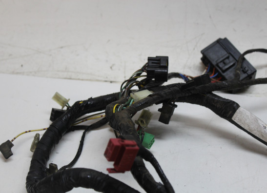 Kabelbaum Kawasaki ER 5