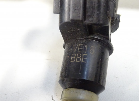 Einspritzanlage Triumph Tiger 1050