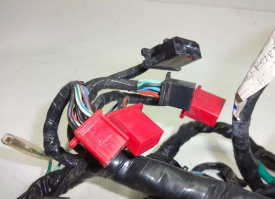 Kabelboom Honda CBR 1000 F