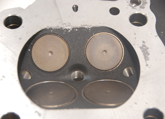Cylinder head Harley Davidson Softtail
