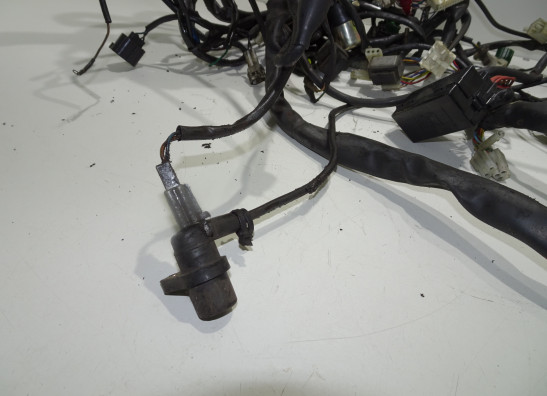Wire Harness Aprilia Tuono 1000