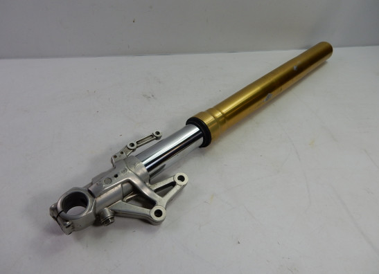 Voorpoot rechts compleet Benelli Overig Benelli