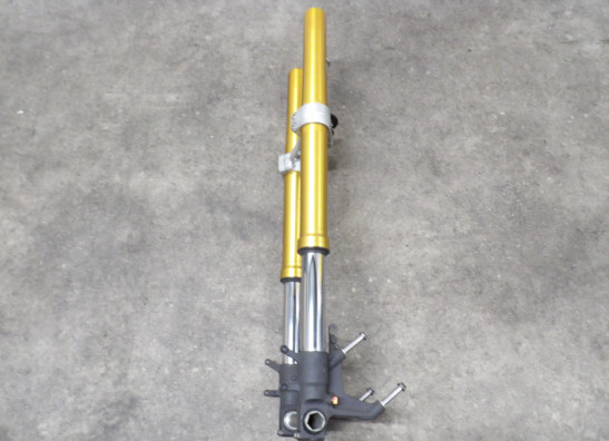 Voorpoten compleet Suzuki DL 1000 V STROM