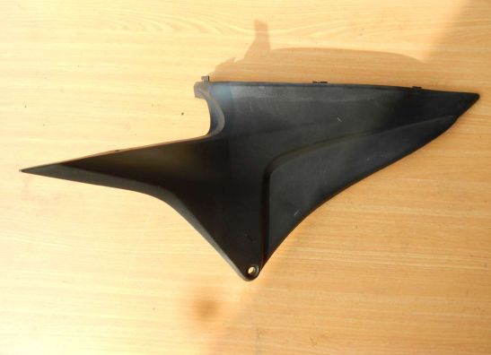Tankschutz Honda CBR 600 RR