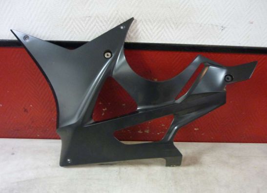 Untere verkleidung links BMW S 1000 RR
