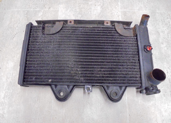 Radiateur Triumph Trophy 1200