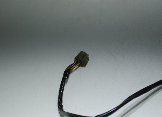 Dynamo Ducati monster 600