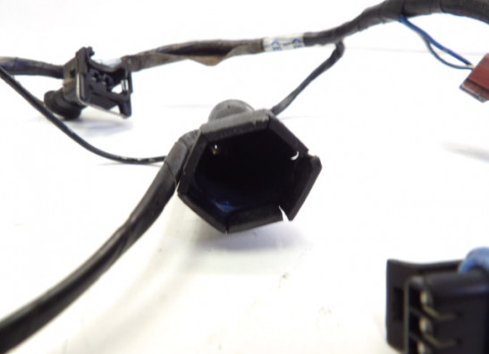 Kabelboom voor Triumph Sprint RS