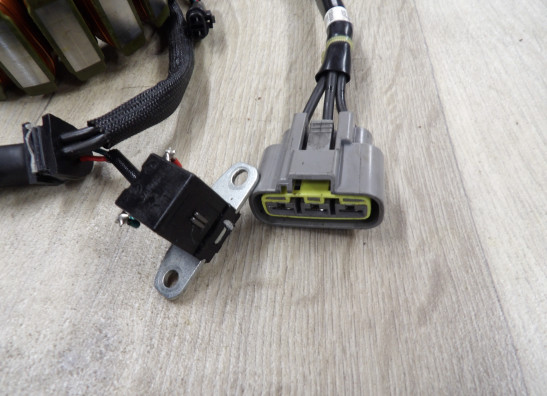 Dynamo Triumph Thruxton TFC