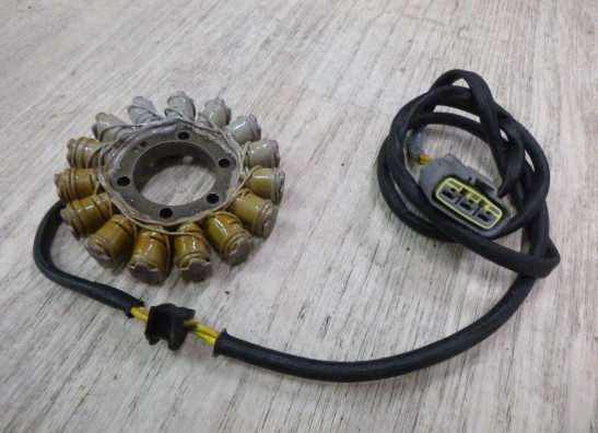 Dynamo Ducati Multistrada 950