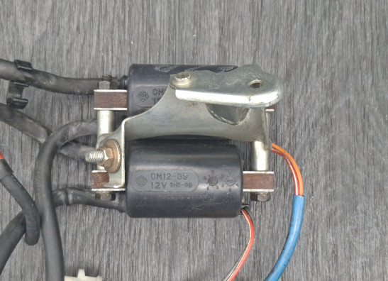 Zundspule Yamaha FZR 600