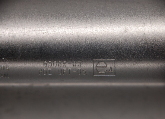 Auspuff Harley Davidson VROD VRSC