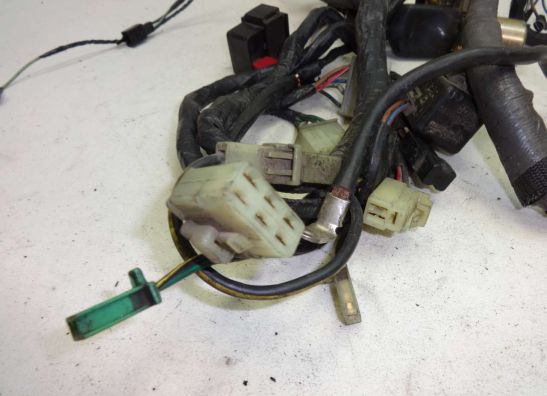 Kabelbaum Kawasaki ZZR 1100