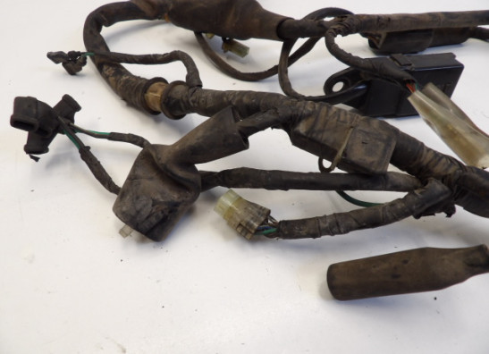 Wire Harness Honda CMX 250 