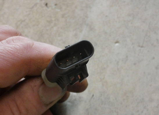 Lambdasonde BMW R 1250 R