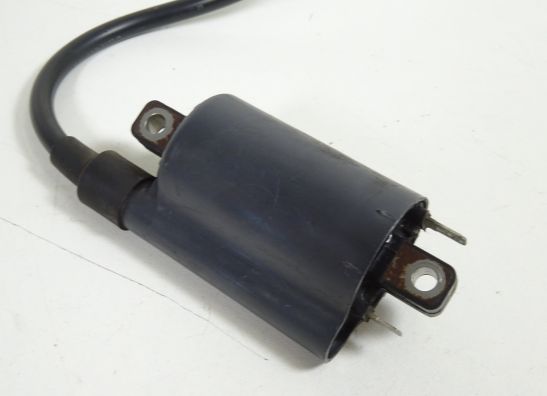 Bobine Ducati Monster 800