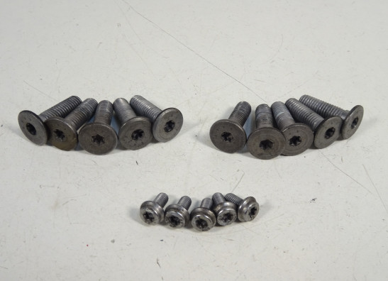 Bremsscheibenset BMW R 1200 R