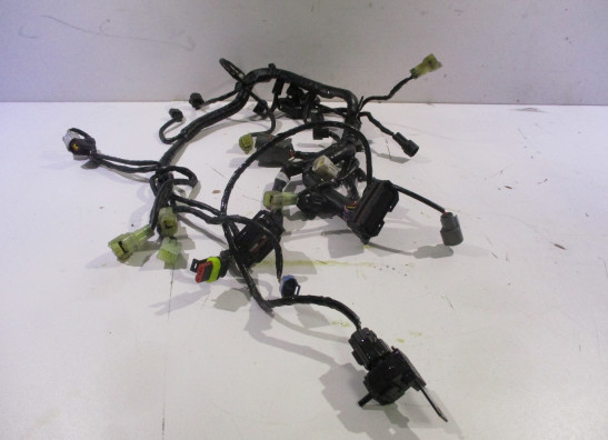 Kabelboom KTM 1290 Super duke