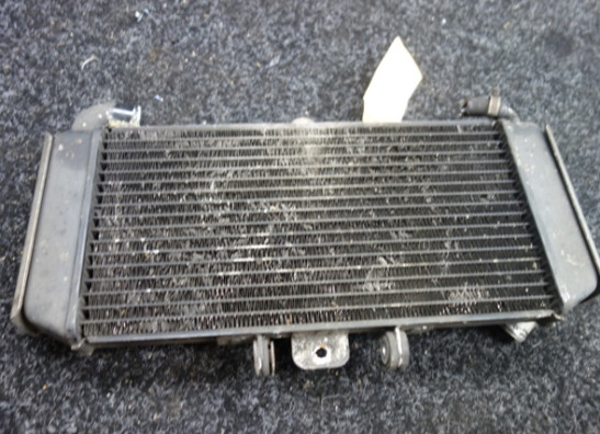 Radiateur Yamaha FAZER 600