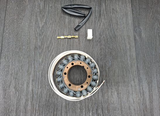 Lichtmaschine Yamaha TR1