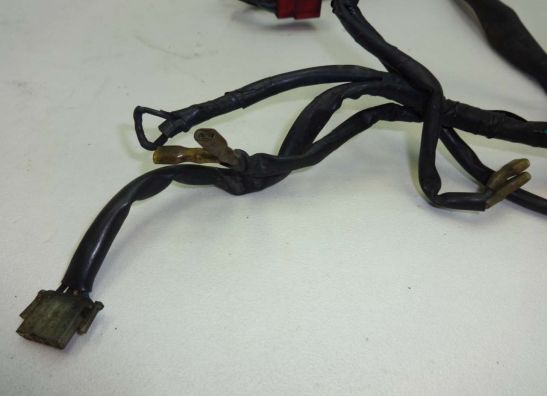 Kabelboom voor Honda PC 800