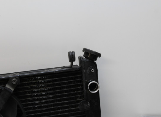 Kuhler Yamaha YZF R1