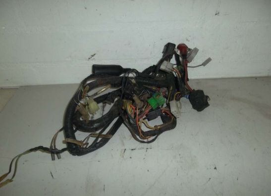 Kabelboom Suzuki GSX F 600