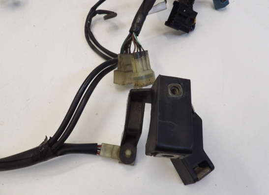 Kabelboom Yamaha FZ6